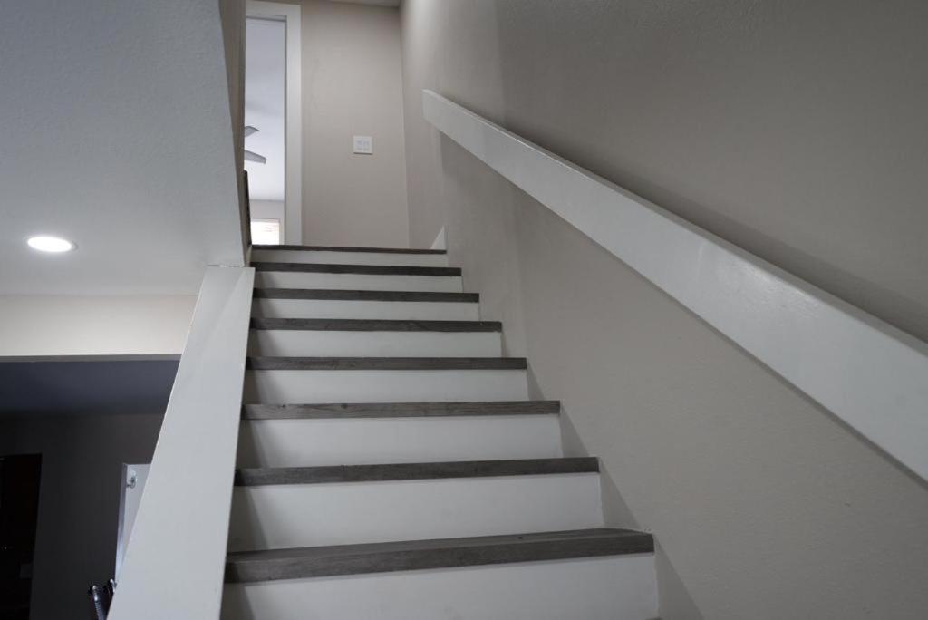 Hosting New Villa Tampa Dış mekan fotoğraf