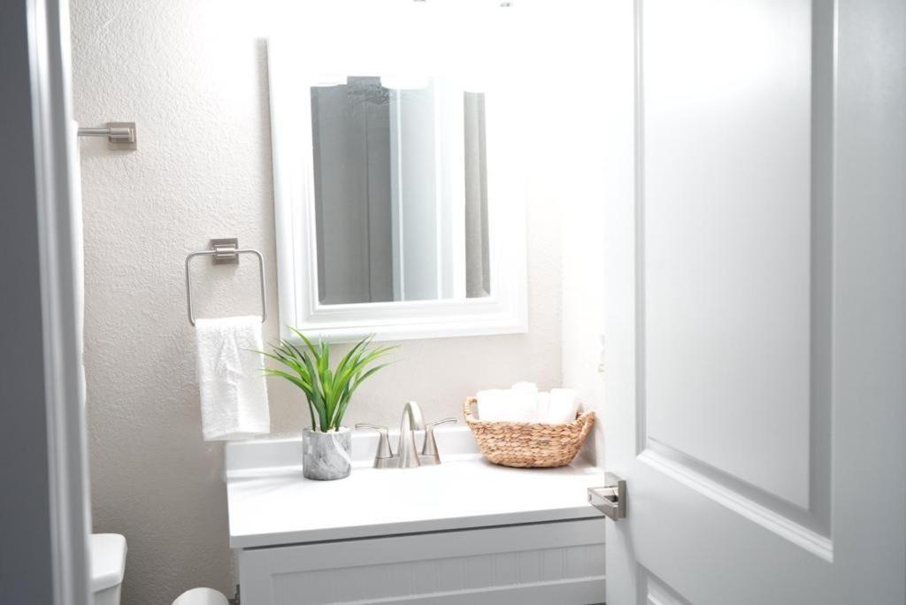 Hosting New Villa Tampa Dış mekan fotoğraf