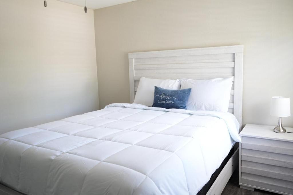 Hosting New Villa Tampa Dış mekan fotoğraf